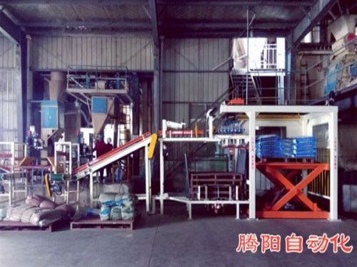 全自動(dòng)碼垛機(jī)