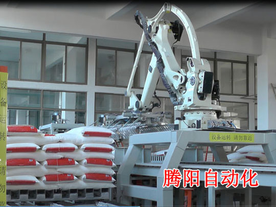 全自動碼垛機(jī)大米碼垛機(jī)械手工業(yè)碼垛機(jī)器人