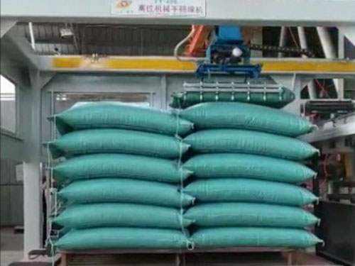 碼垛機騰陽龍門碼垛機械手