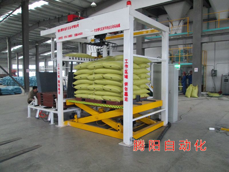 騰陽(yáng)全自動(dòng)碼垛機(jī)
