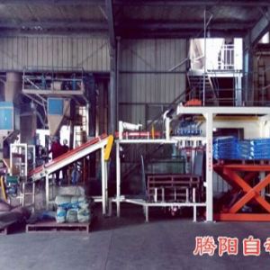 全自動(dòng)碼垛機(jī)在飼料行業(yè)的應(yīng)用視頻