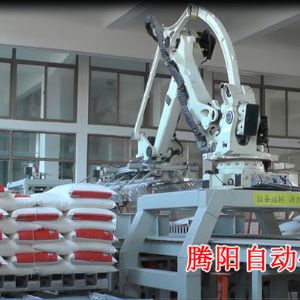 全自動碼垛機(jī)大米碼垛機(jī)械手工業(yè)碼垛機(jī)器人