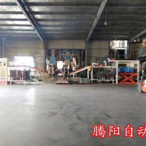 碼垛機(jī)機(jī)械手,龍門碼垛機(jī)