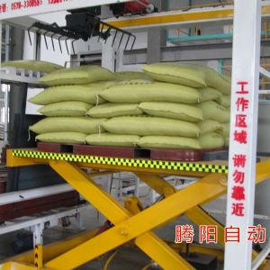 騰陽新型碼垛機(jī)-可以完全替代機(jī)械手的碼垛機(jī)