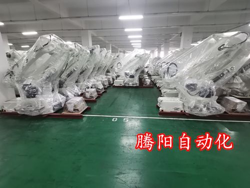 工業(yè)碼垛機器人,化肥碼垛機