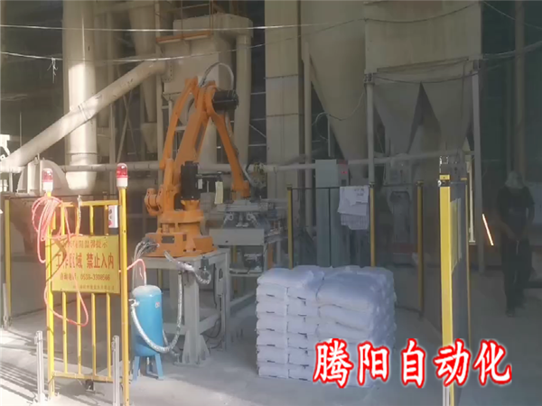 全自動(dòng)碼垛機(jī)器人