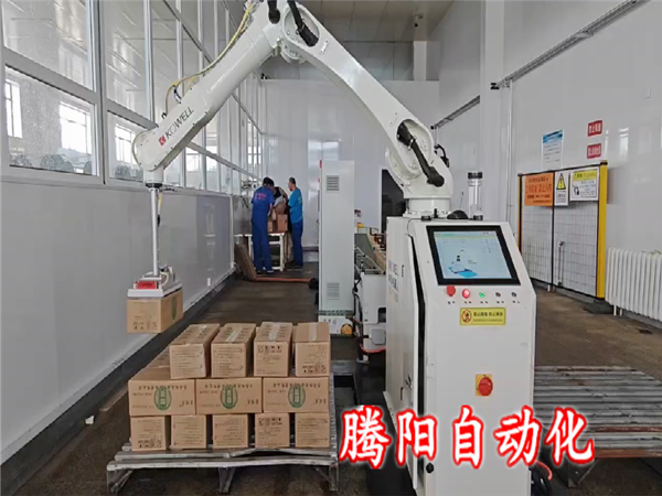 箱裝碼垛機(jī)器人：企業(yè)效率提高的新引擎