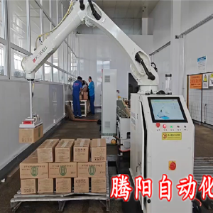 箱裝碼垛機(jī)器人：企業(yè)效率提高的新引擎